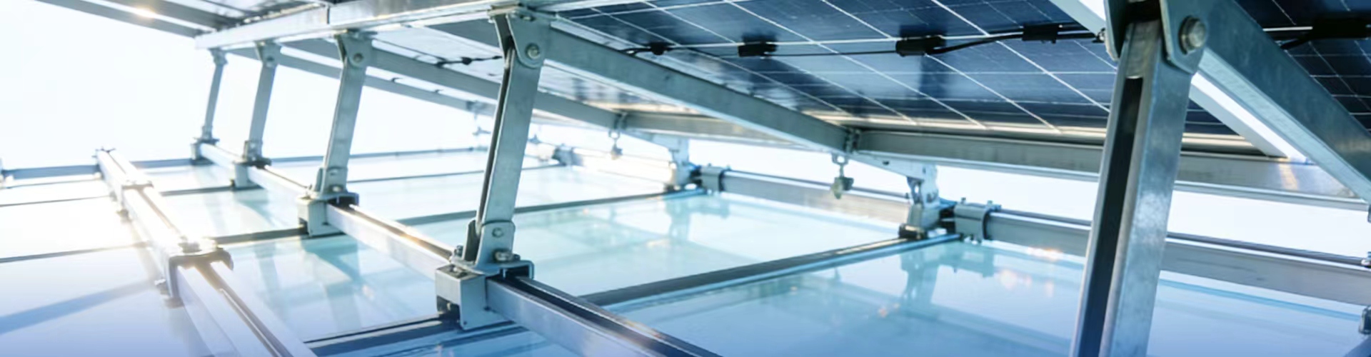 उत्पादने